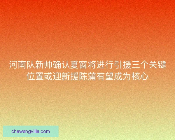 河南队新帅确认夏窗将进行引援三个关键位置或迎新援陈蒲有望成为核心