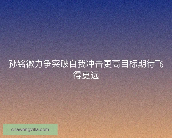 孙铭徽力争突破自我冲击更高目标期待飞得更远